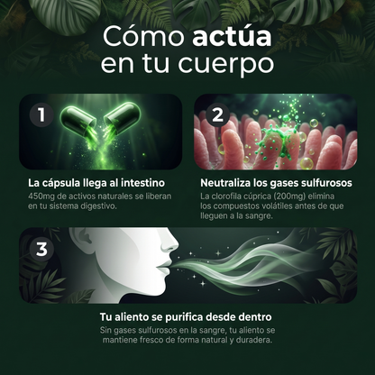 FRESODOR+ | Elimina el mal olor y la vergüenza social desde dentro en menos de 7 días