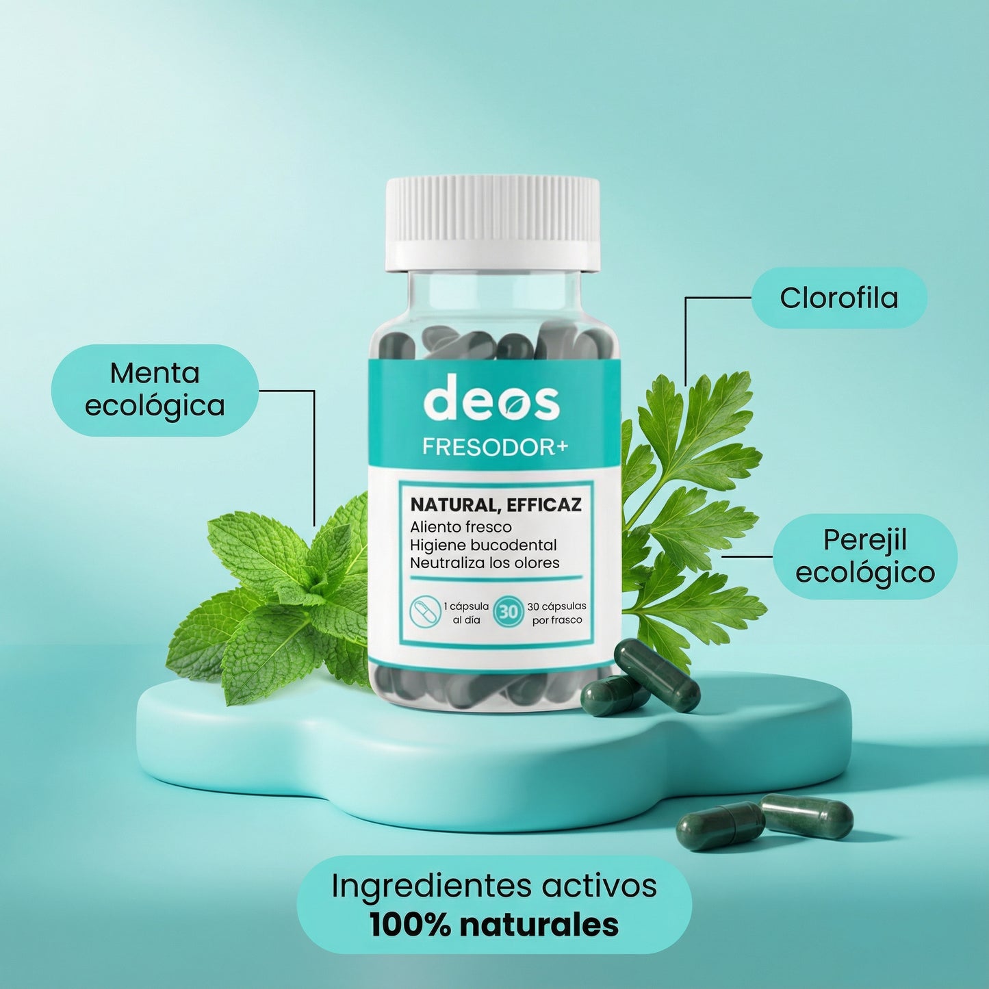 DEOS | COMPLEMENTO ANTIOLOR