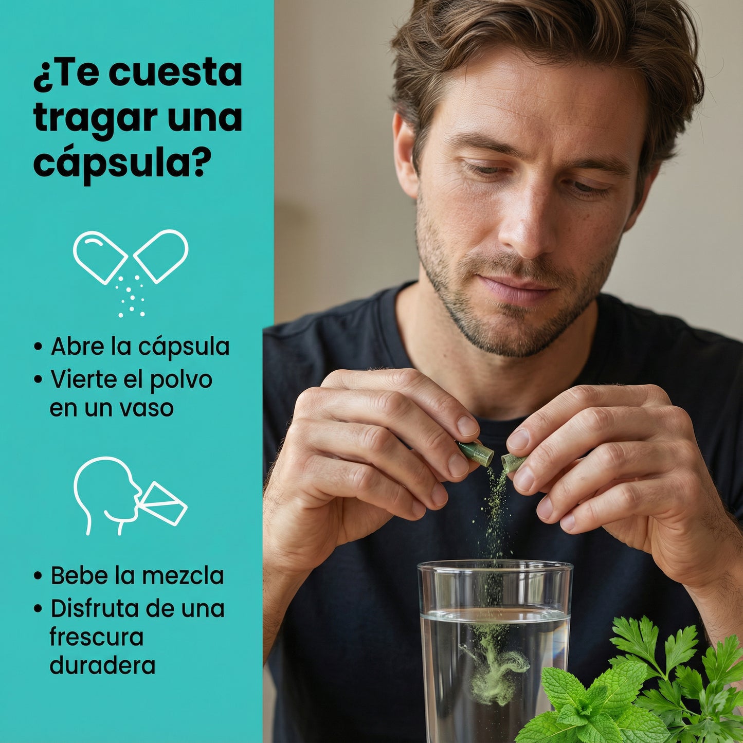 DEOS | COMPLEMENTO ANTIOLOR